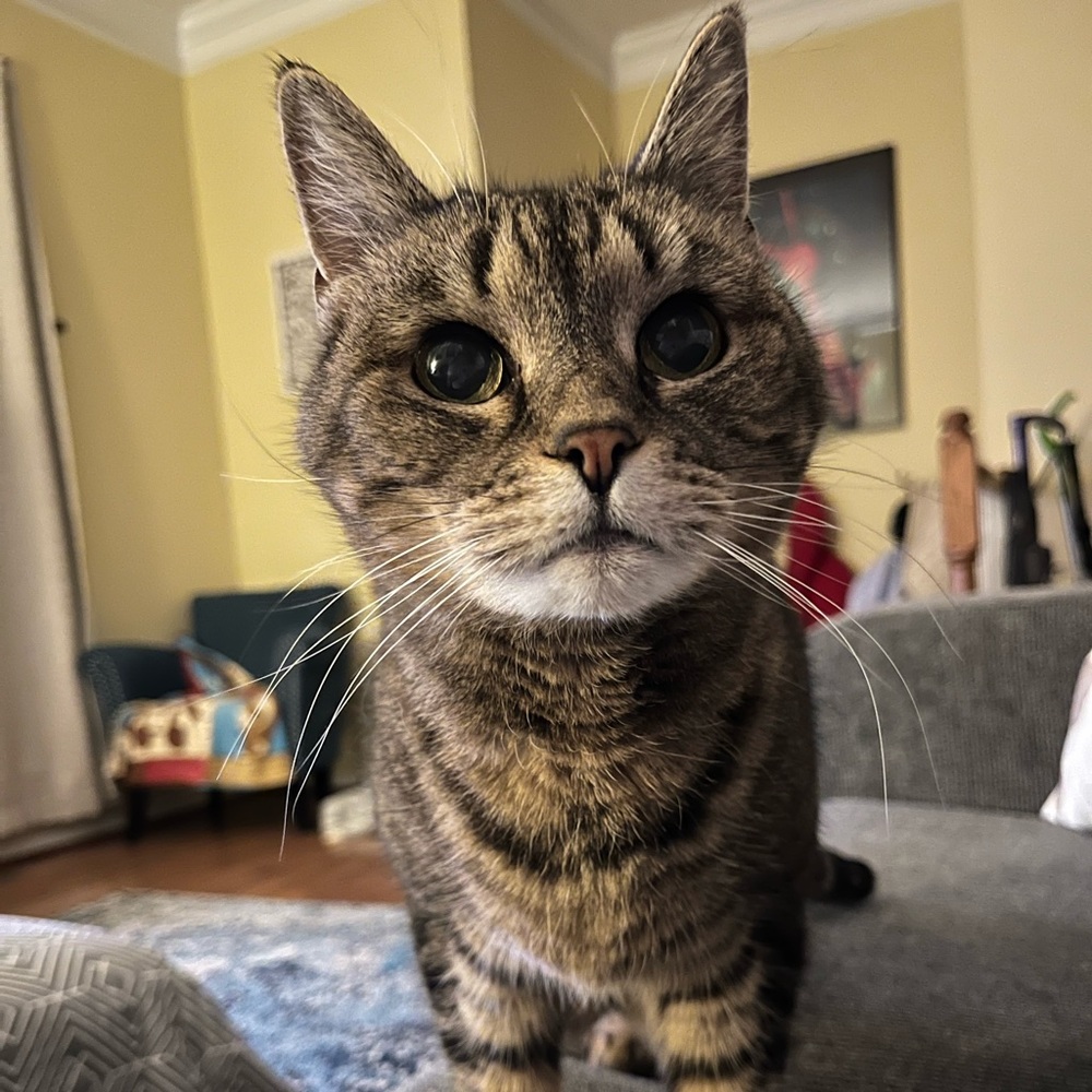 Meet your Posher, Karen